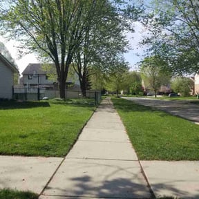 landscaping services by Fred Peyronel reviewed on December 3, 2025