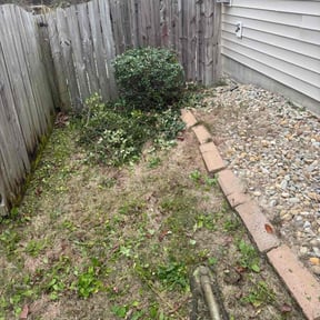 Bush Trimming by Lawn Sharks reviewed on March 23, 2026