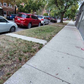 Bush Trimming by Thomas Enterprise LLC reviewed on November 10, 2025