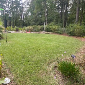 landscape maintenance by Yarddog landscaping reviewed on November 24, 2025