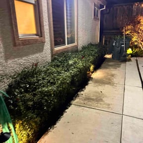 Bush Trimming by Arnulfo Lawn &amp; Tree service reviewed on November 20, 2025