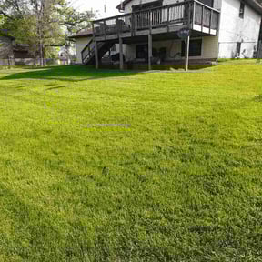 Leaf Removal by GOAT Lawn Sevice reviewed on June 2, 2022