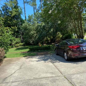 yard care by clean cut and trim landscaping llc reviewed on August 12, 2025