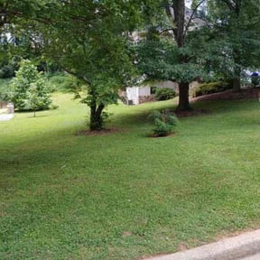 gardening service by Conner Meadows reviewed on December 18, 2025