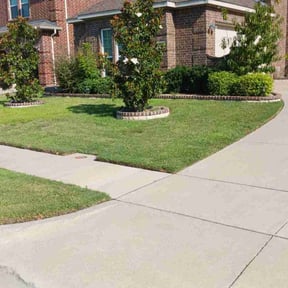 landscape maintenance by RLG lawn services reviewed on November 19, 2025