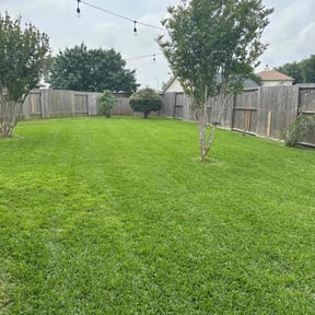 landscaping by Washington Lawn Service reviewed on August 19, 2025