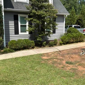 Bush Trimming by Carolina GreenWorks reviewed on July 3, 2026