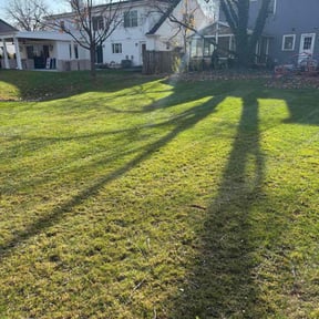 Leaf Removal by Coqui Lawn Care Services reviewed on November 23, 2025