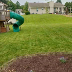 lawn care by Over the rainbow lawn care reviewed on August 21, 2025