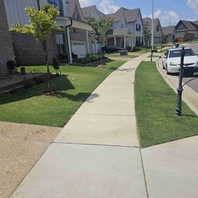 yard service by MemphisMadeLawnCare reviewed on August 13, 2025