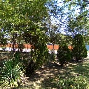 Bush Trimming by WBC lawn reviewed on August 16, 2025