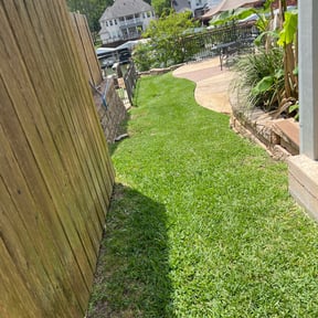 Bush Trimming by Top Notch Lawn Care& MAINTENCE reviewed on August 21, 2025