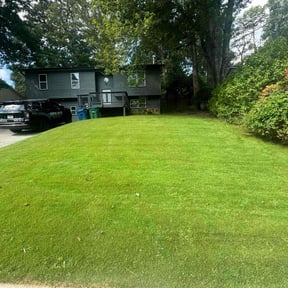 yard service by Just us landscaping LLC reviewed on August 17, 2025