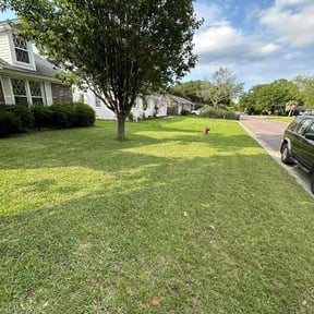 landscaping by GoFresh Lawn Care reviewed on August 19, 2025