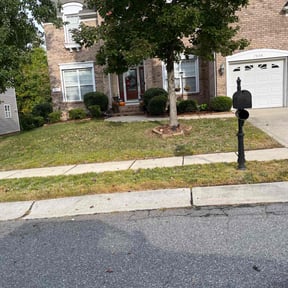 Bush Trimming by Isaiah's Custom Cutz reviewed on April 2, 2022