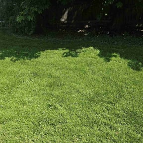 landscape maintenance by VC&B Custom Lawn Care reviewed on August 15, 2025