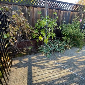 Leaf Removal by BJ&#039;S Lawn Service reviewed on October 21, 2025