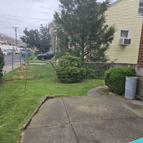 Bush Trimming by Under the Sun Property Services reviewed on August 16, 2025