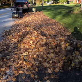 Leaf Removal by John&amp;Tara Little Lawn Care LLC reviewed on September 17, 2025