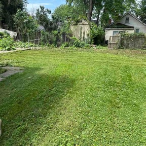 Leaf Removal by Knox Vegas Lawn Service reviewed on July 20, 2026
