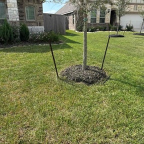 Flower Bed Weeding by County Line Services reviewed on May 1, 2024