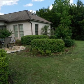 Bush Trimming by Hunter's Lawn and Tree reviewed on August 18, 2025