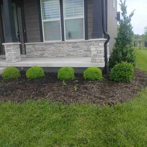 Bush Trimming by Gios Multitask Lawn & Landscaping Services LLC reviewed on August 15, 2025