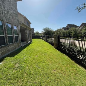 turf maintenance by Fazal Management Group LLC reviewed on August 16, 2025