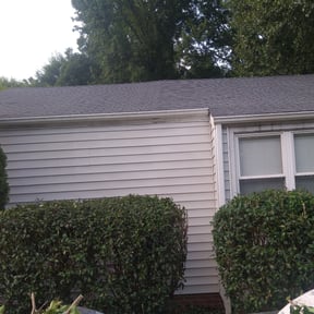 Bush Trimming by Father and son handyman reviewed on August 21, 2025