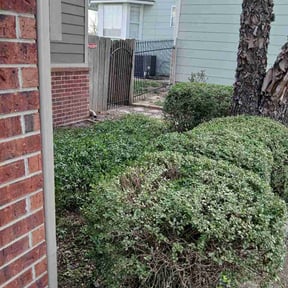Bush Trimming by Mowtivated Landscaping reviewed on April 7, 2026