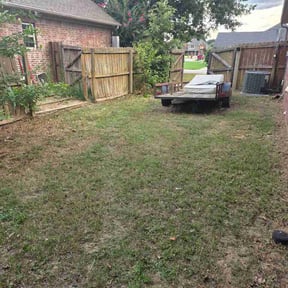 Leaf Removal by Creole Lawn Care &amp;Pressure Washing reviewed on July 11, 2026