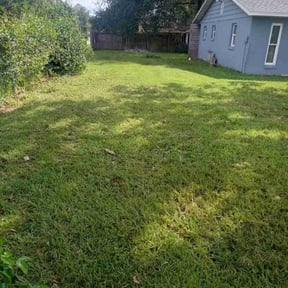 lawn care services by Da Munchez/ High 5 landscaping reviewed on August 20, 2025