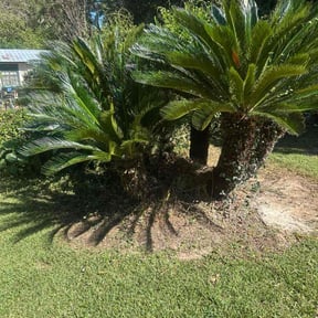 Bush Trimming by All Terrain Lawn Services reviewed on November 21, 2025