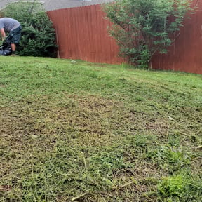 Bush Trimming by Escamilla's landscaping LLC reviewed on August 15, 2025