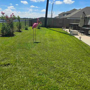 landscape maintenance by Lawn Heroes reviewed on April 6, 2025