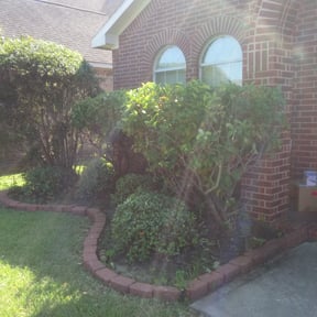 Bush Trimming by Scotton Complete Lawn Care reviewed on August 15, 2025