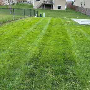 grass maintenance by J C Enterprises reviewed on May 2, 2025