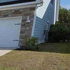 Bush Trimming by Andersen landscaping & Design reviewed on August 15, 2025