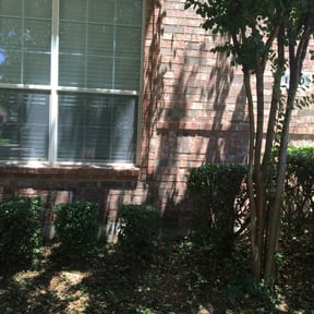 Bush Trimming by ShiftChange LLC Lawn Service reviewed on October 2, 2023