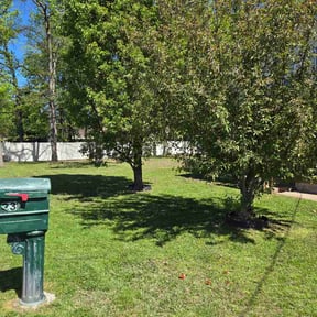 Leaf Removal by Bigdogs Property Maintenance reviewed on May 6, 2026
