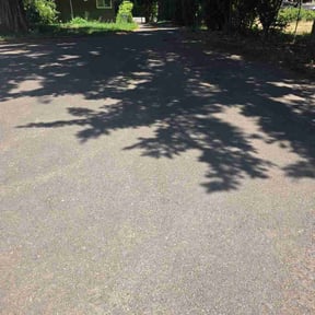 Leaf Removal by 11 lawns reviewed on July 17, 2026
