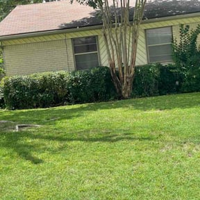 Bush Trimming by Avon Landscaping LLC reviewed on June 7, 2026