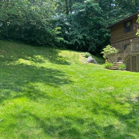 yard service by Lawn Guys reviewed on August 15, 2025