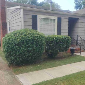 Bush Trimming by Victoria Landscaping, LLc reviewed on May 10, 2025