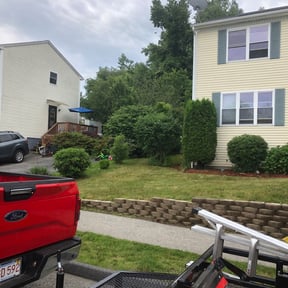 Bush Trimming by Mow for you reviewed on June 9, 2025