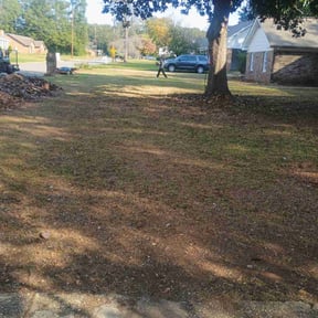 Leaf Removal by Murphy&#039;s Lawn &amp; Order reviewed on September 19, 2025
