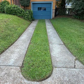 yard care by ALP Lawn Care reviewed on November 27, 2025