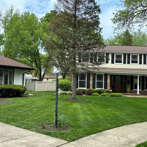 lawn care by JHS LANDSCAPING reviewed on May 12, 2025
