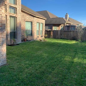 yard care by Paint by Ponch reviewed on August 15, 2025