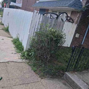 Bush Trimming by MGO Investments, LLC reviewed on June 26, 2026